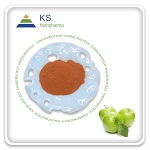 Apple Polyfenols prášek