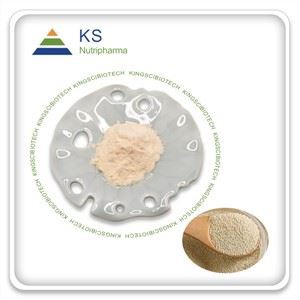 Prášek z kvasnicového extraktu