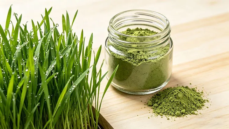 Barley-Grass-Powder-Benefits-in-Clean-Label-and-Market-Positioning-Strategy Barley-Grass-Powder-Benefits-in-Clean-Label-and-Market-Positioning-Strategy