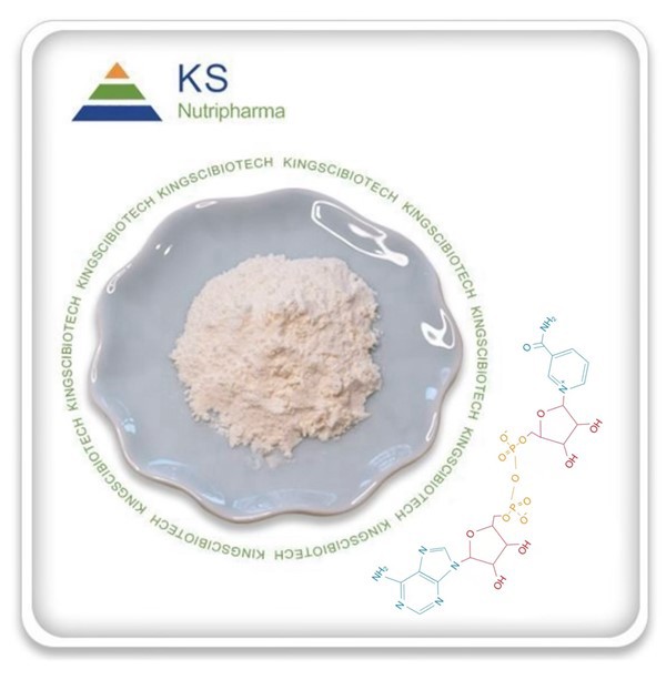 NAD doplňovací prášek